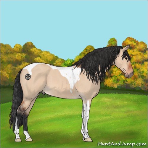 Horse Color:Brown Roan Dun Tobiano 