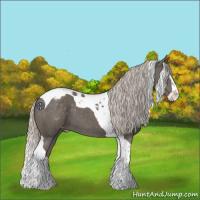 Horse Color:Silver Black Splash Tobiano Varnish 
