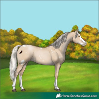 Horse Color:White Spotted Silver Grullo Pearl Splash 