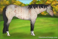 Horse Color:Brown Roan Dun Brindle 