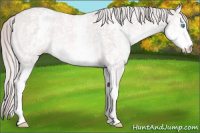 Horse Color:Platinum White Spotted Chocolate Perlino 