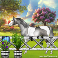 Horse Color:Gray Brown Dun Splash Tobiano