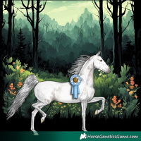 Horse Color:Gray Brown Dun Splash Tobiano Appaloosa