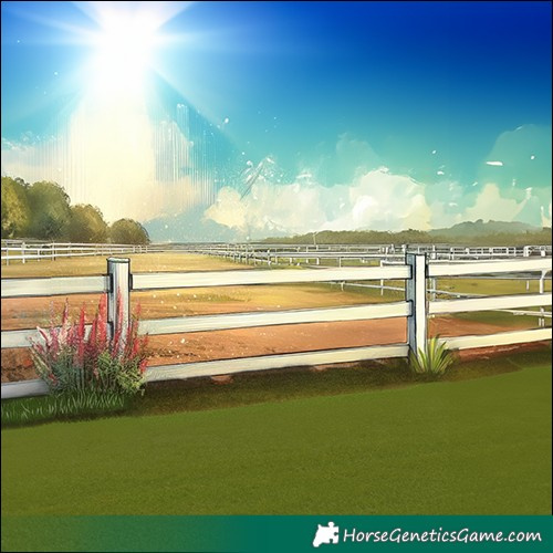 Horse Color:White Spotted Liver Chestnut Pearl Varnish