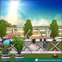 Horse Color:White Spotted Liver Chestnut Pearl Appaloosa