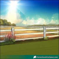 Horse Color:White Spotted Liver Chestnut Pearl Varnish 