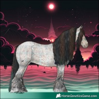 Horse Color:Plaid  Brown Ice Roan 