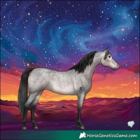 Horse Color:Gray Platinum Buckskin Roan 