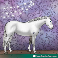Horse Color:Gray Silver Bay Roan Splash Rabicano 