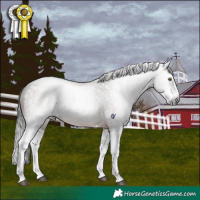 Horse Color:Gray Brown Roan Sabino Splash Rabicano