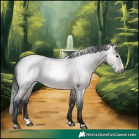 Horse Color:Gray Brown Roan Splash Rabicano 