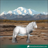 Horse Color:Gray Void Chocolate Palomino Tobiano 