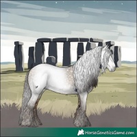 Horse Color:Gray Liver Red Dun Ice 