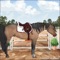 Horse Color:Brown Dun