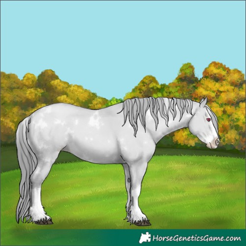 Horse Color:White Spotted Grullo Chinchilla Pearl Splash 