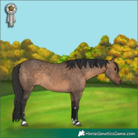 Horse Color:Brown Dun 