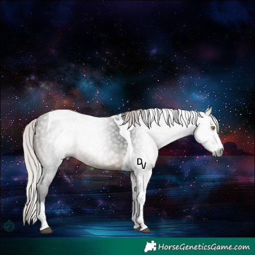 Horse Color:Gray Silver Brown Splash Tobiano Rabicano 