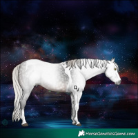 Horse Color:Gray Silver Brown Splash Tobiano Rabicano