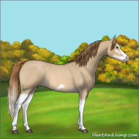 Horse Color:Red Dun Roan Splash Frame Rabicano 