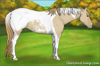 Horse Color:Classic Cream Champagne Dun Tobiano Snowcap 