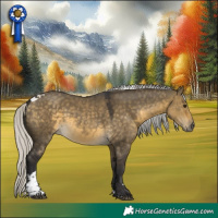 Horse Color:Silver Buckskin Dun Tobiano 