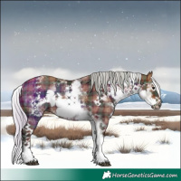 Horse Color:Plaid  White Spotted Silver Brown Splash Frame Rabicano 
