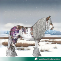 Horse Color:Plaid  White Spotted Silver Brown Splash Frame Rabicano 