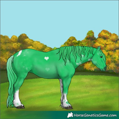 Horse Color:Watercolor White Spotted Liver Chestnut Tobiano 