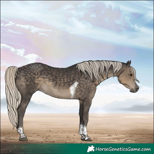 Horse Color:Silver Smoky Black Tobiano 