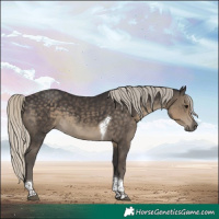 Horse Color:Silver Smoky Black Tobiano 