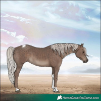 Horse Color:Silver Black Tobiano 
