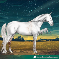 Horse Color:Gray Gold Champagne Splash Tobiano Appaloosa  and Gray Gold Champagne Splash Appaloosa 