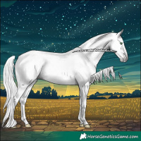 Horse Color:Gray Gold Champagne Splash Tobiano Blanket and Gray Gold Champagne Splash Blanket