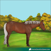 Horse Color:Silver Brown 