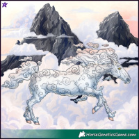 Horse Color:Gray Gold Champagne Appaloosa  and Gray Classic Champagne Appaloosa 