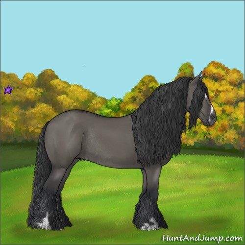 Horse Color:Grullo Sabino Rabicano 