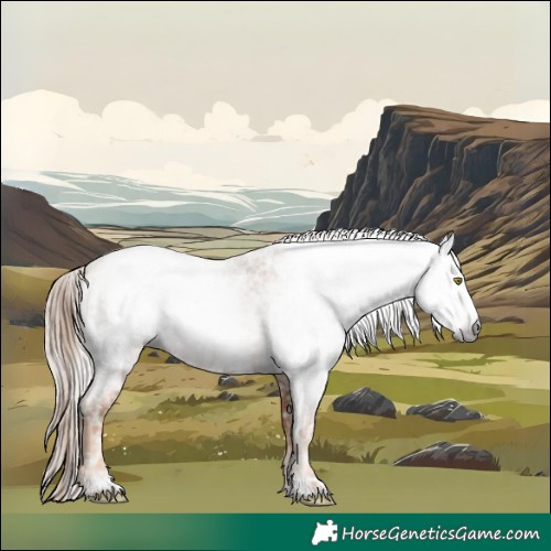 Horse Color:Gray Gold Champagne Roan Leopard  and Gray Gold Champagne Roan Near Leopard 