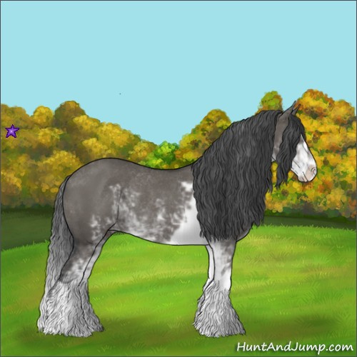 Horse Color:Grullo Sabino Rabicano