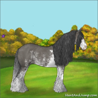 Horse Color:Grullo Sabino Rabicano 