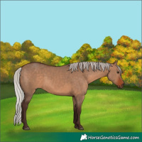 Horse Color:Silver Brown Dun