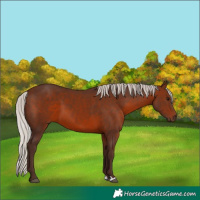 Horse Color:Silver Brown 
