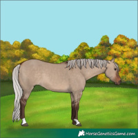 Horse Color:Silver Brown Dun