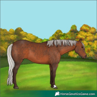 Horse Color:Silver Brown 