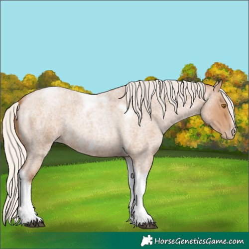 Horse Color:Silver Blue Roan Pearl Tobiano Frame 