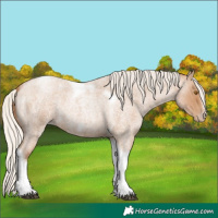 Horse Color:Silver Blue Roan Pearl Tobiano Frame 