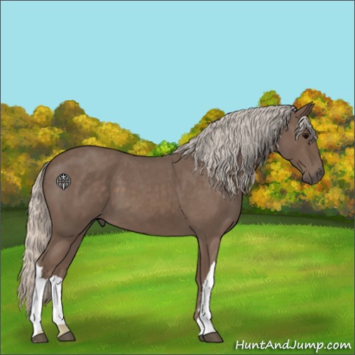Horse Color:Silver Blue Roan 