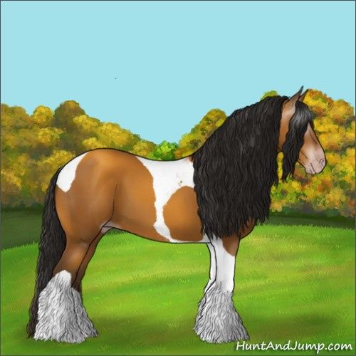 Horse Color:Gray Sable Cream Champagne Tobiano 