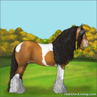 Horse Color:Gray Sable Cream Champagne Tobiano
