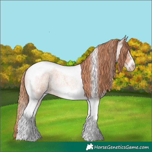 Horse Color:Gold Champagne Roan Splash Tobiano Frame Rabicano 