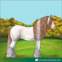 Horse Color:Gold Champagne Roan Splash Tobiano Frame Rabicano